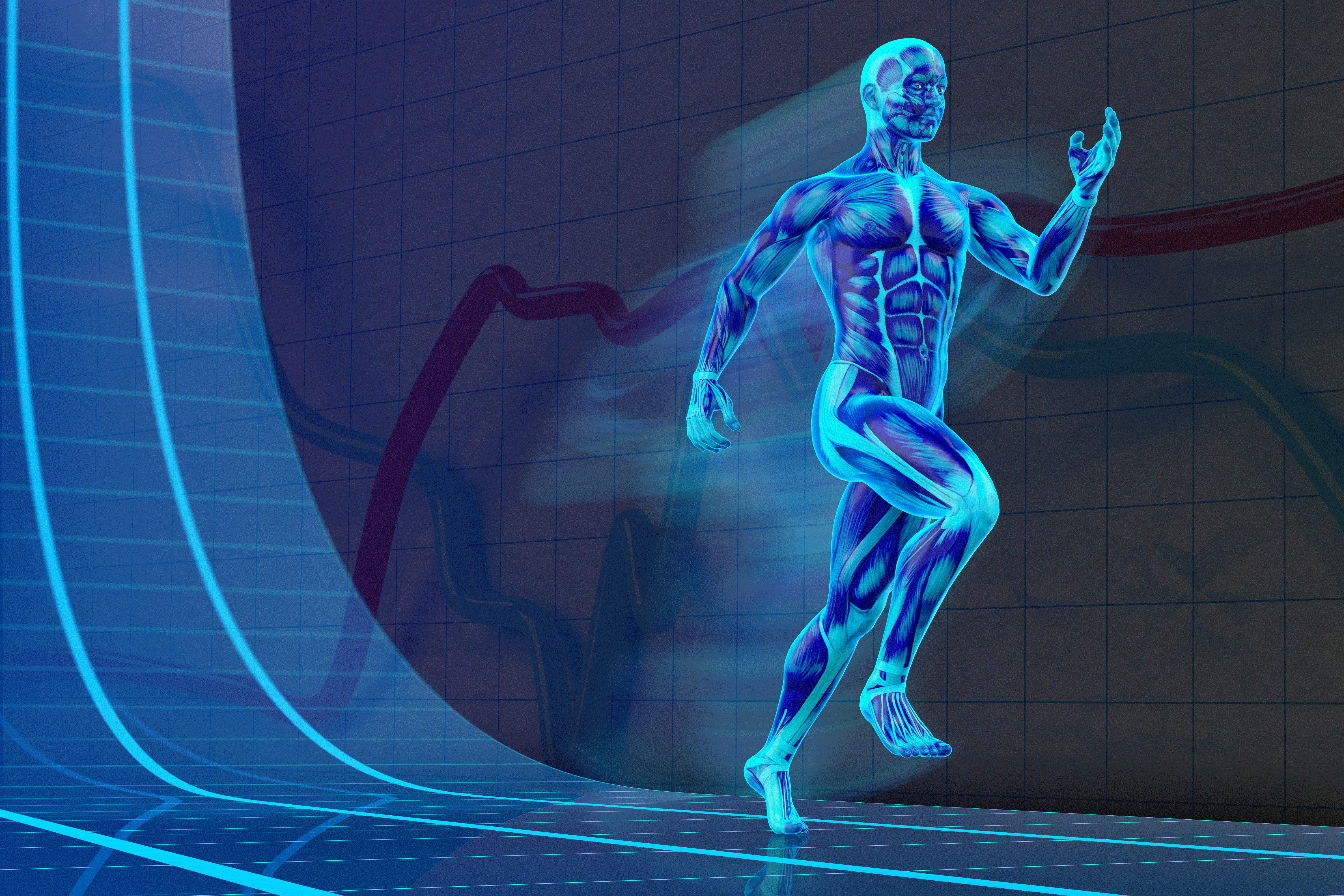 Интеллектуальное тело. Спортивная медицина. Спортивная физиология. Человек мышцы синий. Мускулы человека.